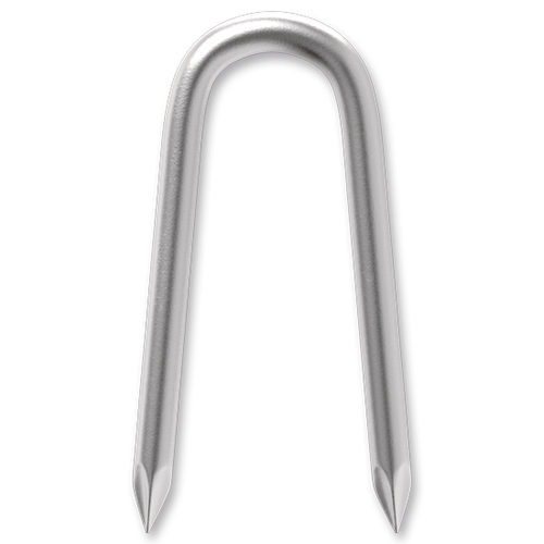54900-1.png